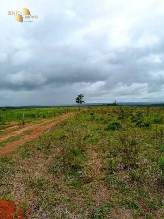 Fazenda à venda de 13.150 ha em Nova Ubiratã, MT, Brasil