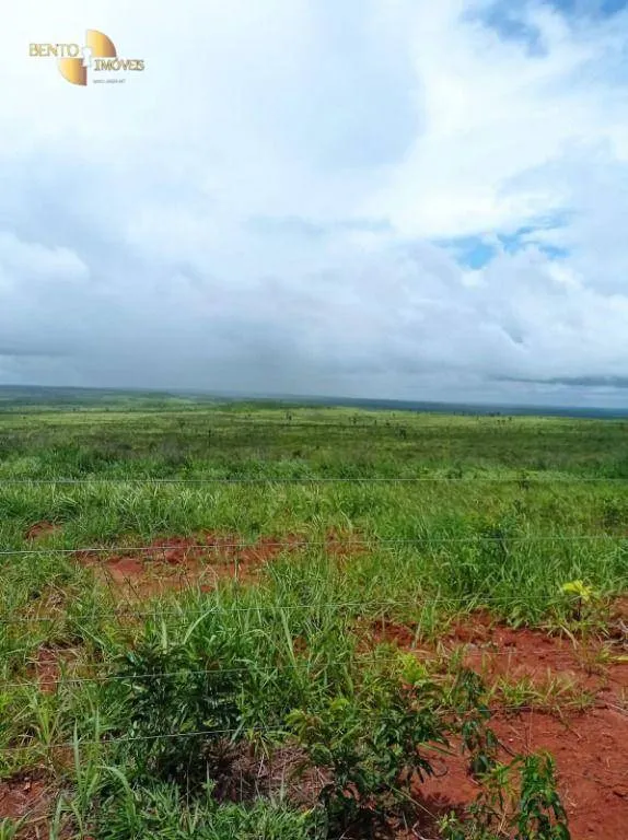 Fazenda à venda de 13.150 ha em Nova Ubiratã, MT, Brasil