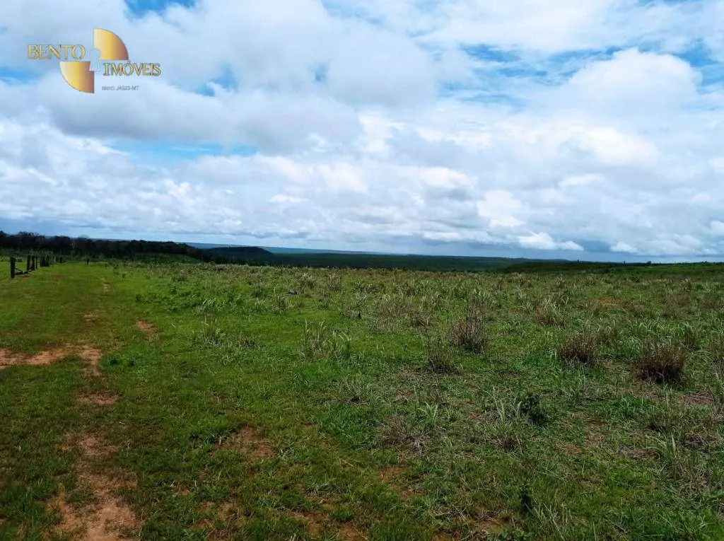 Fazenda à venda de 13.150 ha em Nova Ubiratã, MT, Brasil
