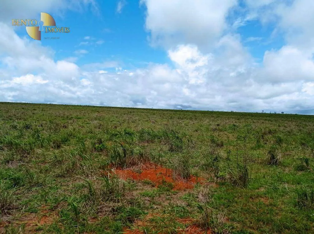 Fazenda à venda de 13.150 ha em Nova Ubiratã, MT, Brasil
