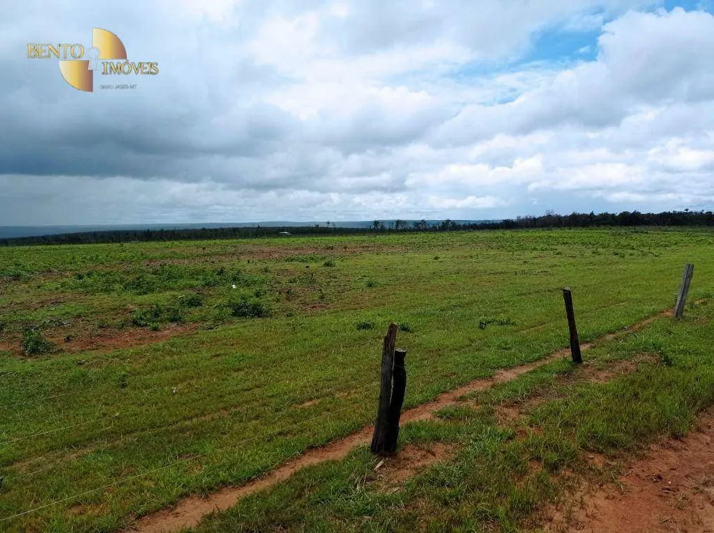 Fazenda à venda de 13.150 ha em Nova Ubiratã, MT, Brasil