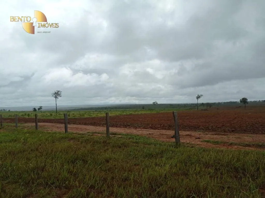Fazenda à venda de 13.150 ha em Nova Ubiratã, MT, Brasil