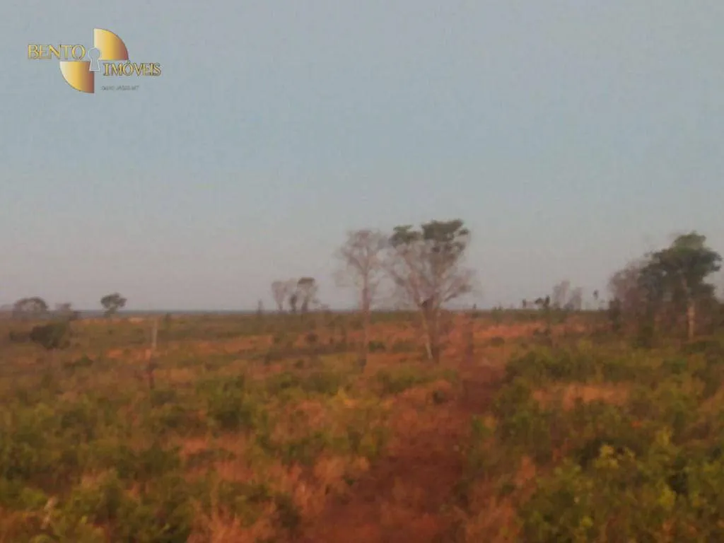 Fazenda à venda de 13.150 ha em Nova Ubiratã, MT, Brasil