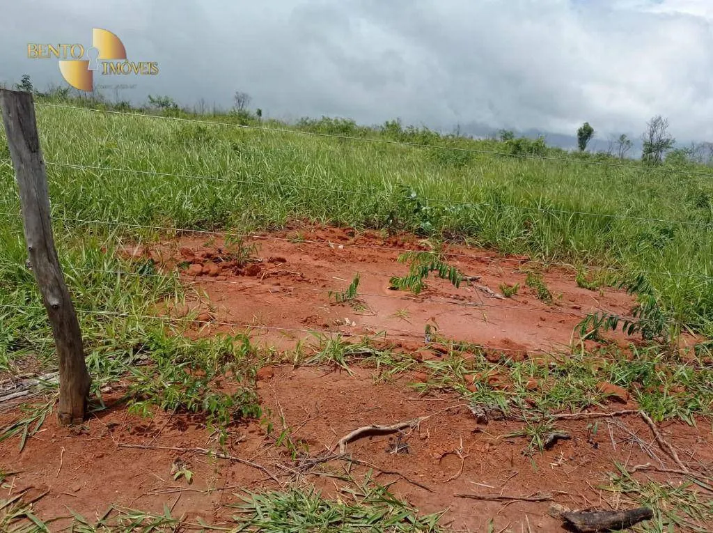 Fazenda à venda de 13.150 ha em Nova Ubiratã, MT, Brasil
