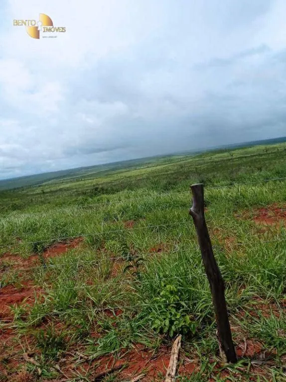 Fazenda à venda de 13.150 ha em Nova Ubiratã, MT, Brasil