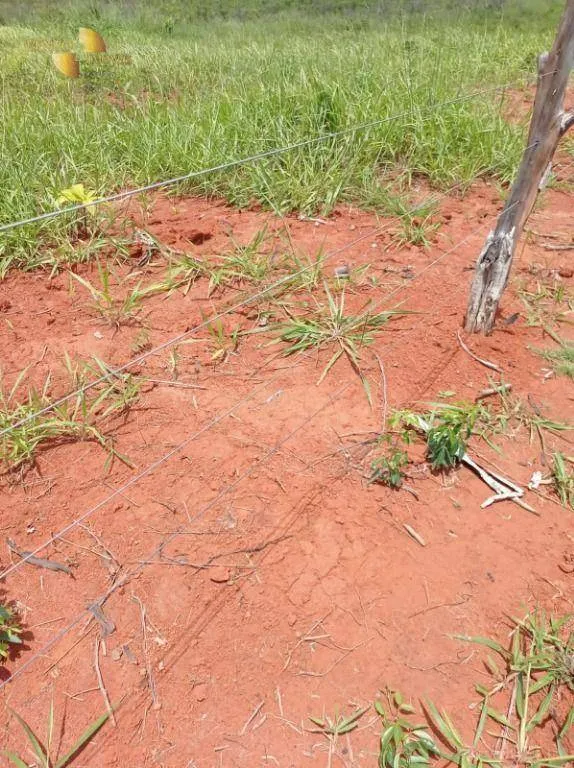 Fazenda à venda de 13.150 ha em Nova Ubiratã, MT, Brasil