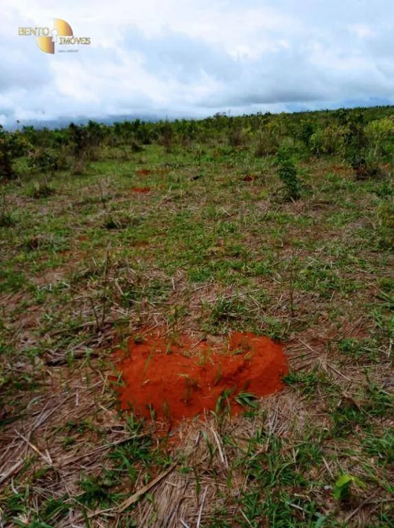 Fazenda à venda de 13.150 ha em Nova Ubiratã, MT, Brasil