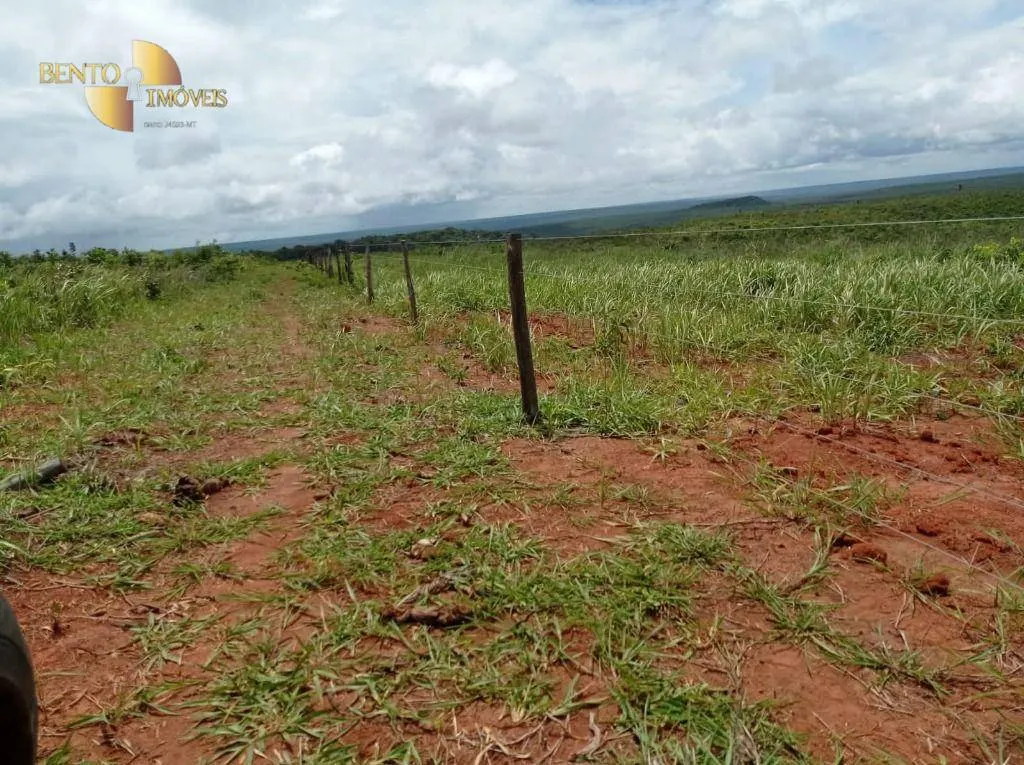 Fazenda à venda de 13.150 ha em Nova Ubiratã, MT, Brasil