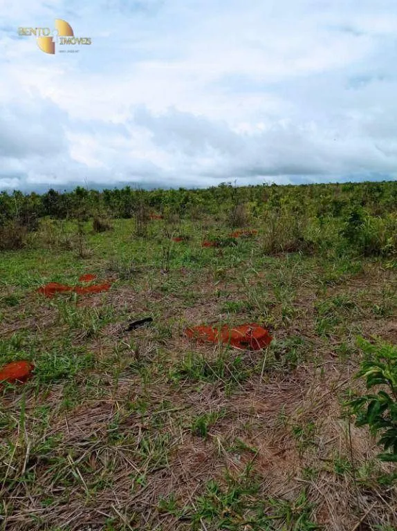 Fazenda à venda de 13.150 ha em Nova Ubiratã, MT, Brasil