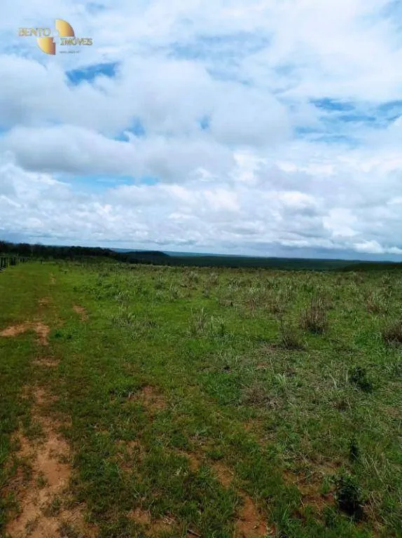 Fazenda à venda de 13.150 ha em Nova Ubiratã, MT, Brasil