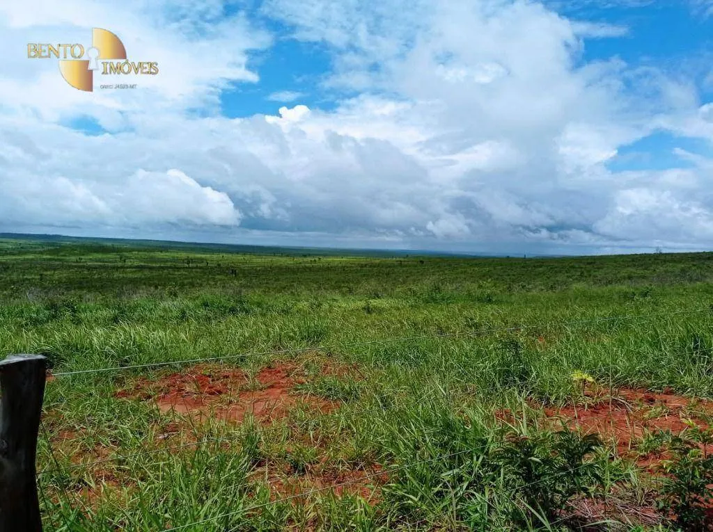 Fazenda à venda de 13.150 ha em Nova Ubiratã, MT, Brasil