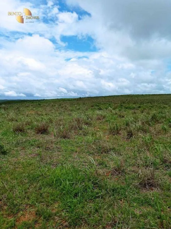 Fazenda à venda de 13.150 ha em Nova Ubiratã, MT, Brasil