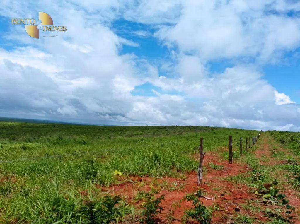 Fazenda à venda de 13.150 ha em Nova Ubiratã, MT, Brasil