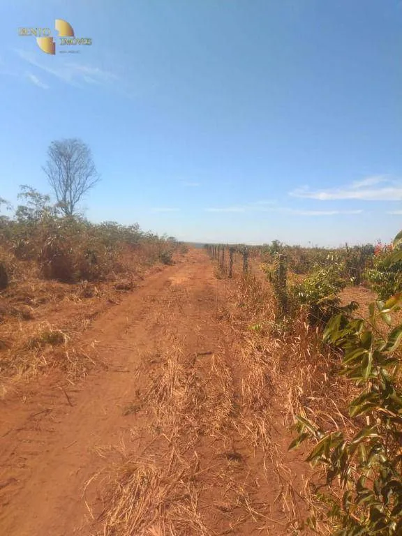 Fazenda à venda de 13.150 ha em Nova Ubiratã, MT, Brasil