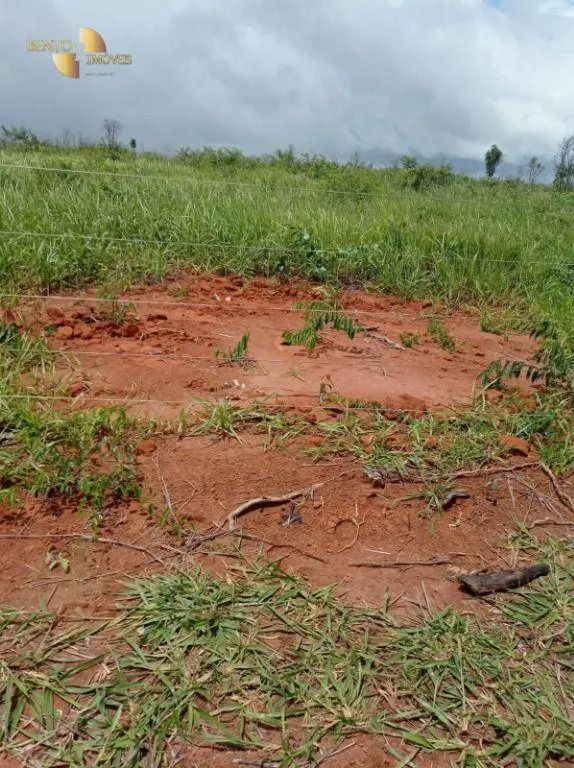Fazenda à venda de 13.150 ha em Nova Ubiratã, MT, Brasil
