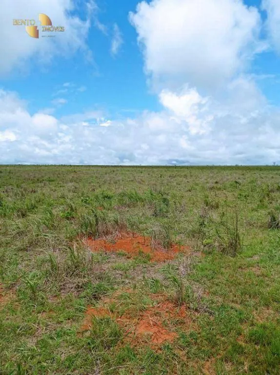 Fazenda à venda de 13.150 ha em Nova Ubiratã, MT, Brasil