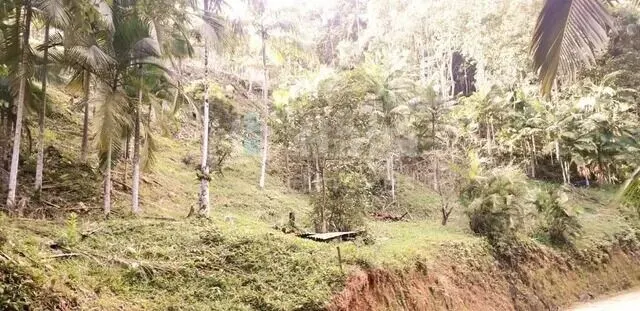 Fazenda à venda de 6 ha em Brusque, SC, Brasil