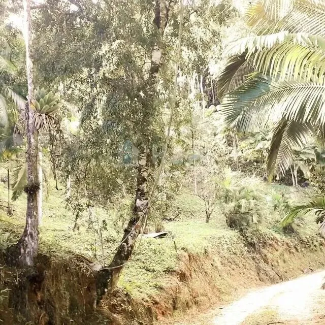 Fazenda à venda de 6 ha em Brusque, SC, Brasil