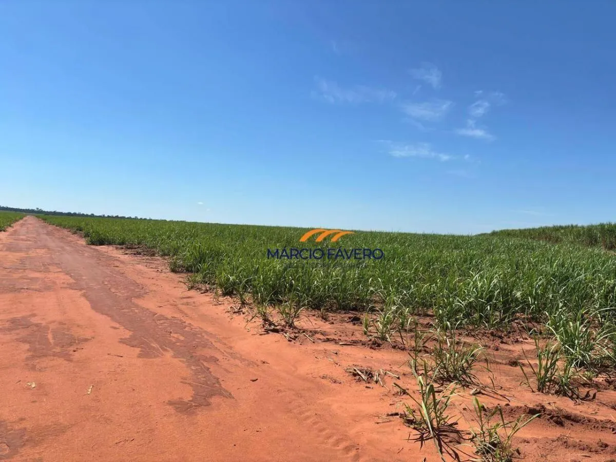 Fazenda à venda de 465 ha em Presidente Venceslau, SP, Brasil