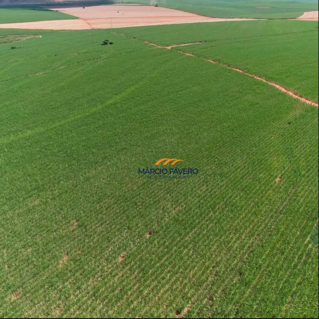 Fazenda à venda de 465 ha em Presidente Venceslau, SP, Brasil