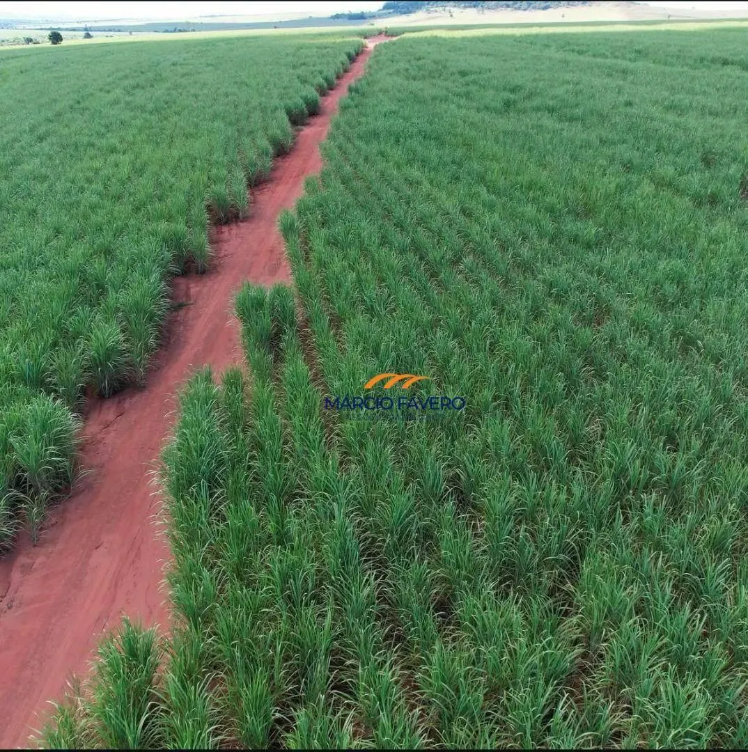 Fazenda à venda de 465 ha em Presidente Venceslau, SP, Brasil