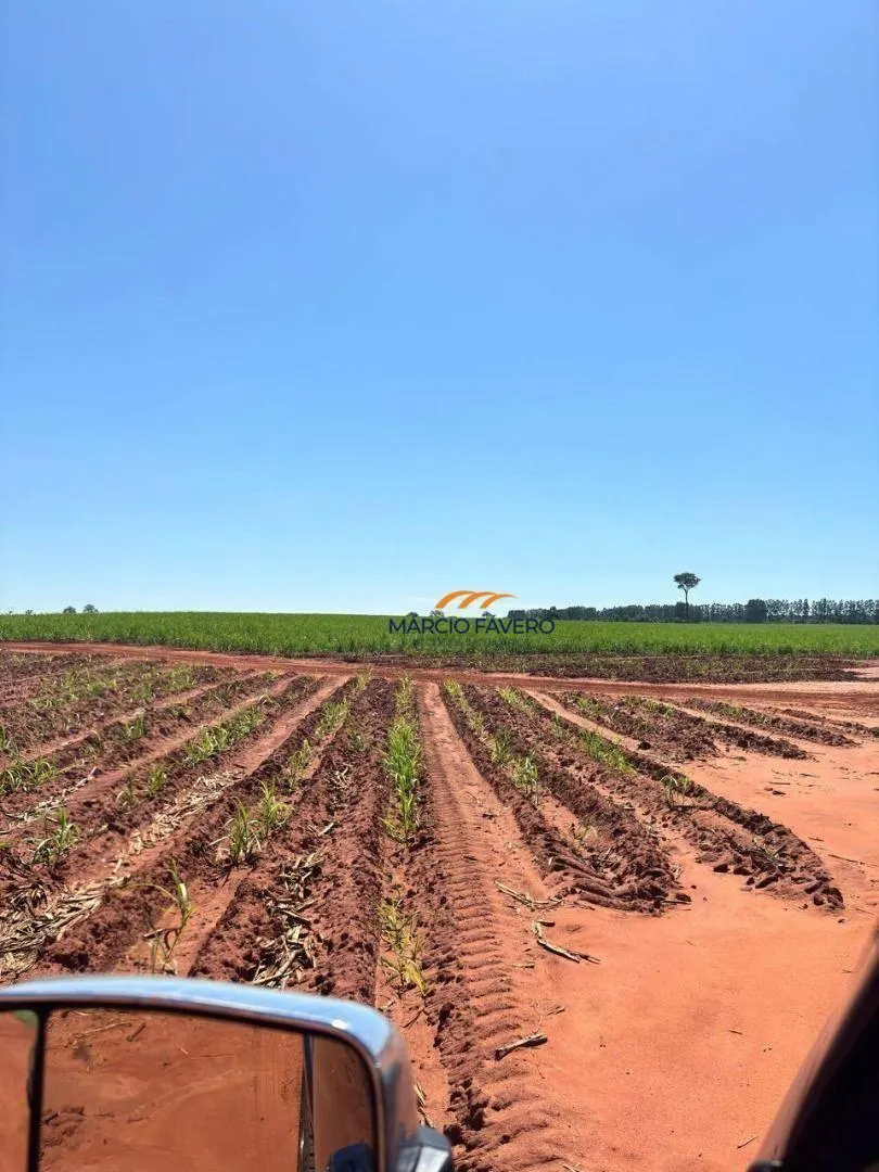 Fazenda à venda de 465 ha em Presidente Venceslau, SP, Brasil