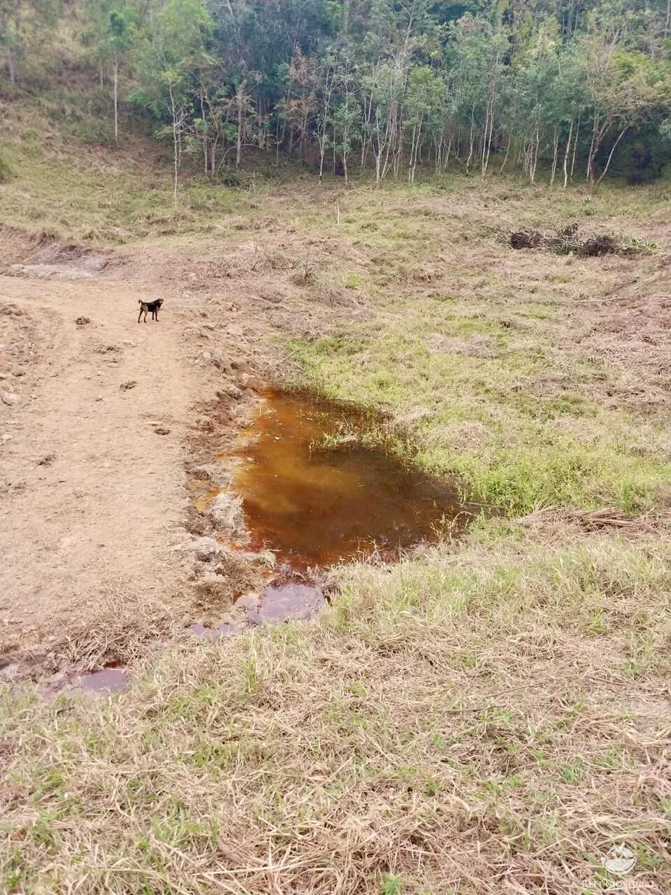 Plot for sale of 25 acres in São José dos Campos, SP, Brazil