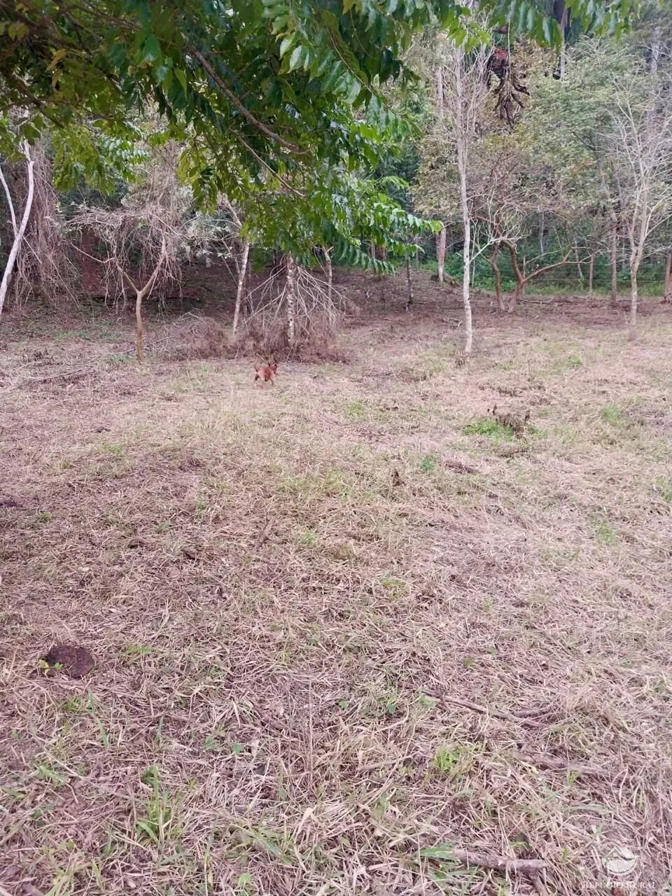 Plot for sale of 25 acres in São José dos Campos, SP, Brazil