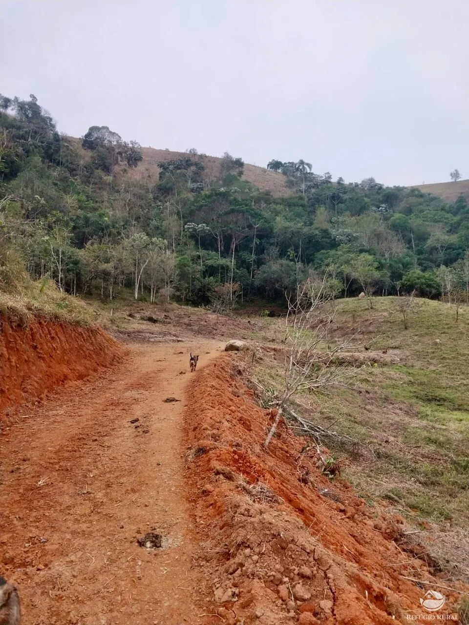 Plot for sale of 25 acres in São José dos Campos, SP, Brazil