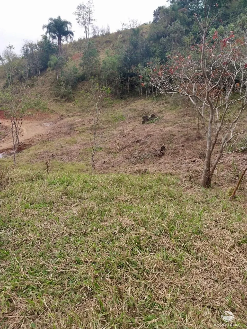 Plot for sale of 25 acres in São José dos Campos, SP, Brazil