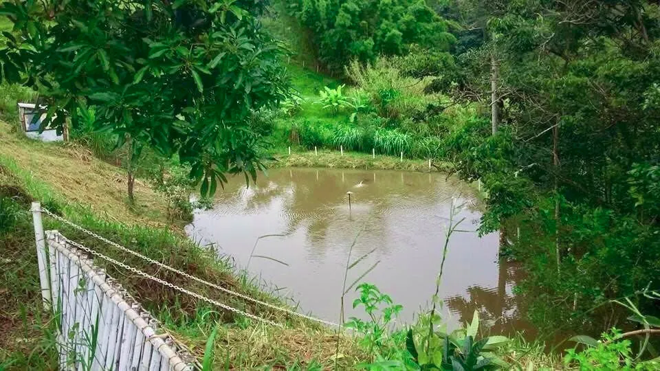 Small farm for sale of 11 acres in Monteiro Lobato, SP, Brazil