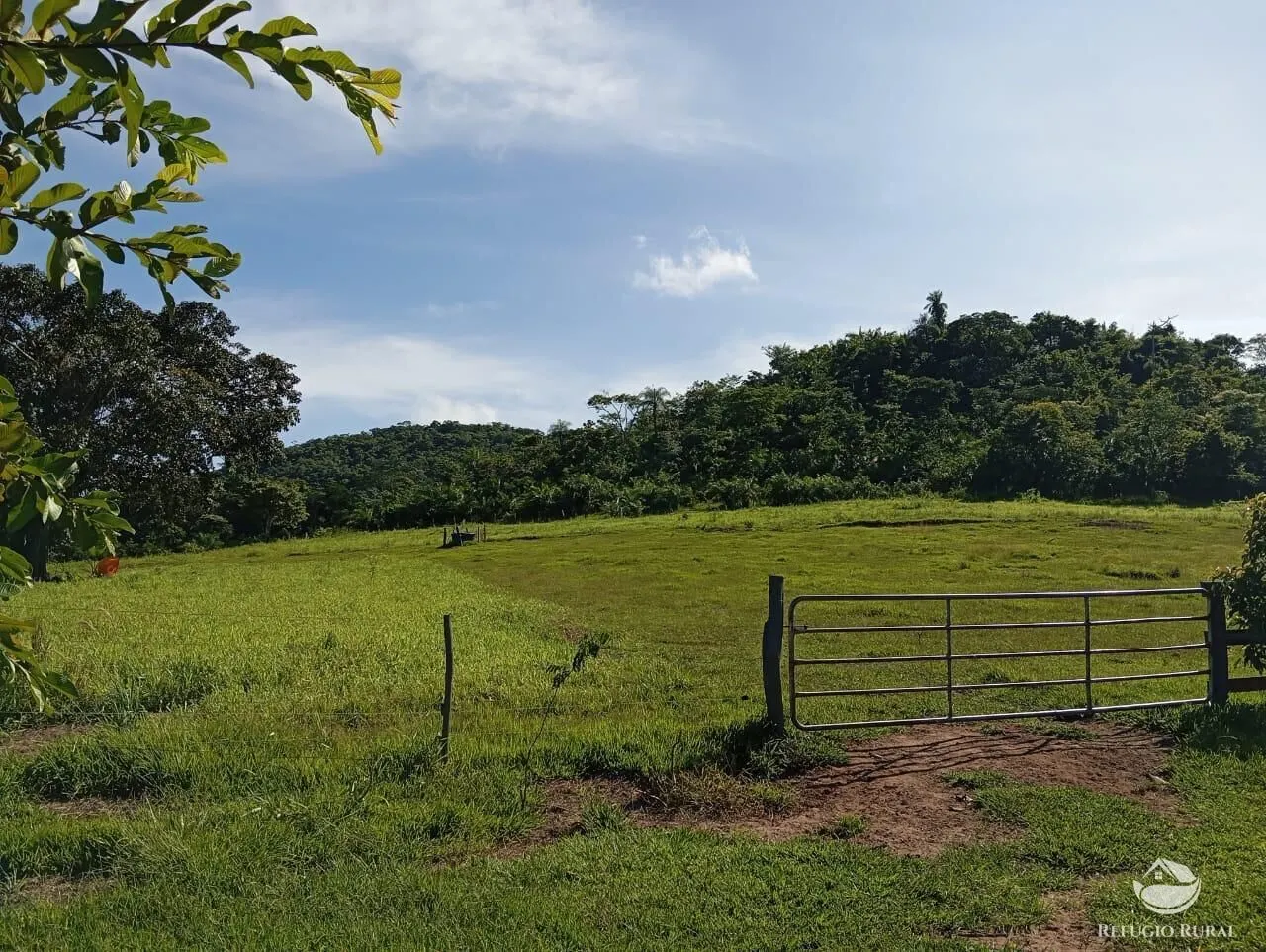 Fazenda à venda de 303 ha em São Gabriel do Oeste, MS, Brasil