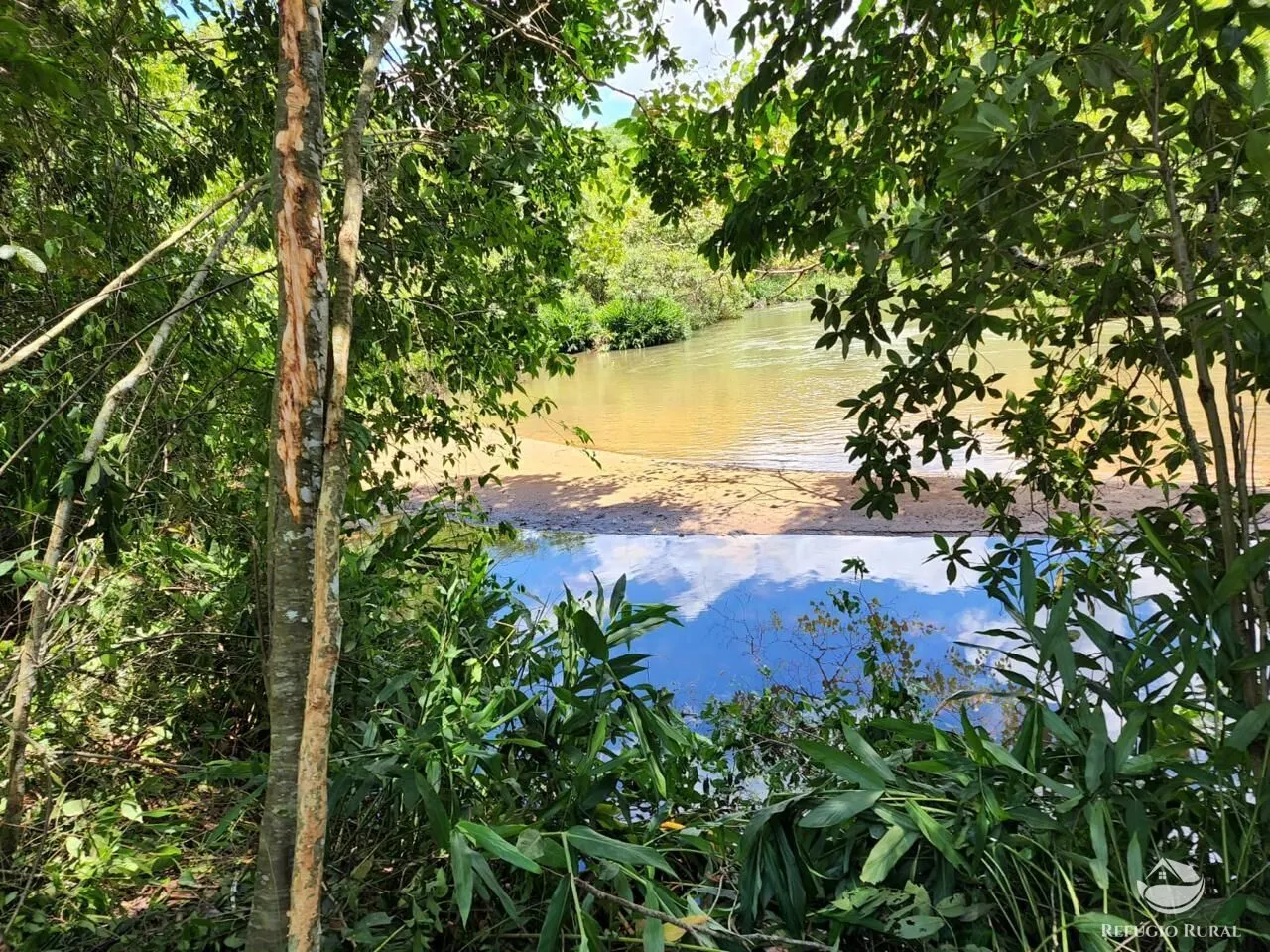 Farm for sale of 749 acres in São Gabriel do Oeste, MS, Brazil