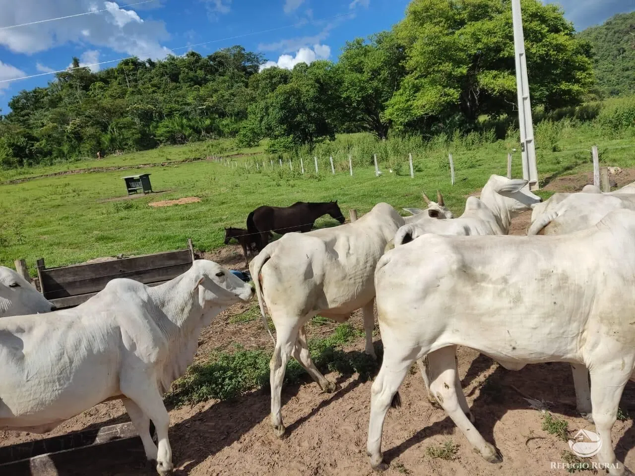 Farm for sale of 749 acres in São Gabriel do Oeste, MS, Brazil