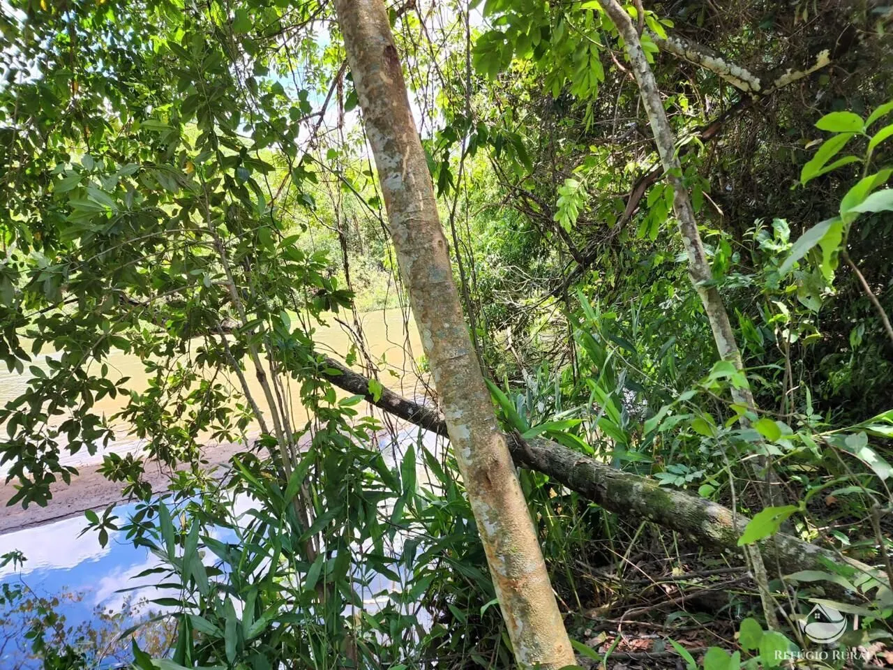 Farm for sale of 749 acres in São Gabriel do Oeste, MS, Brazil