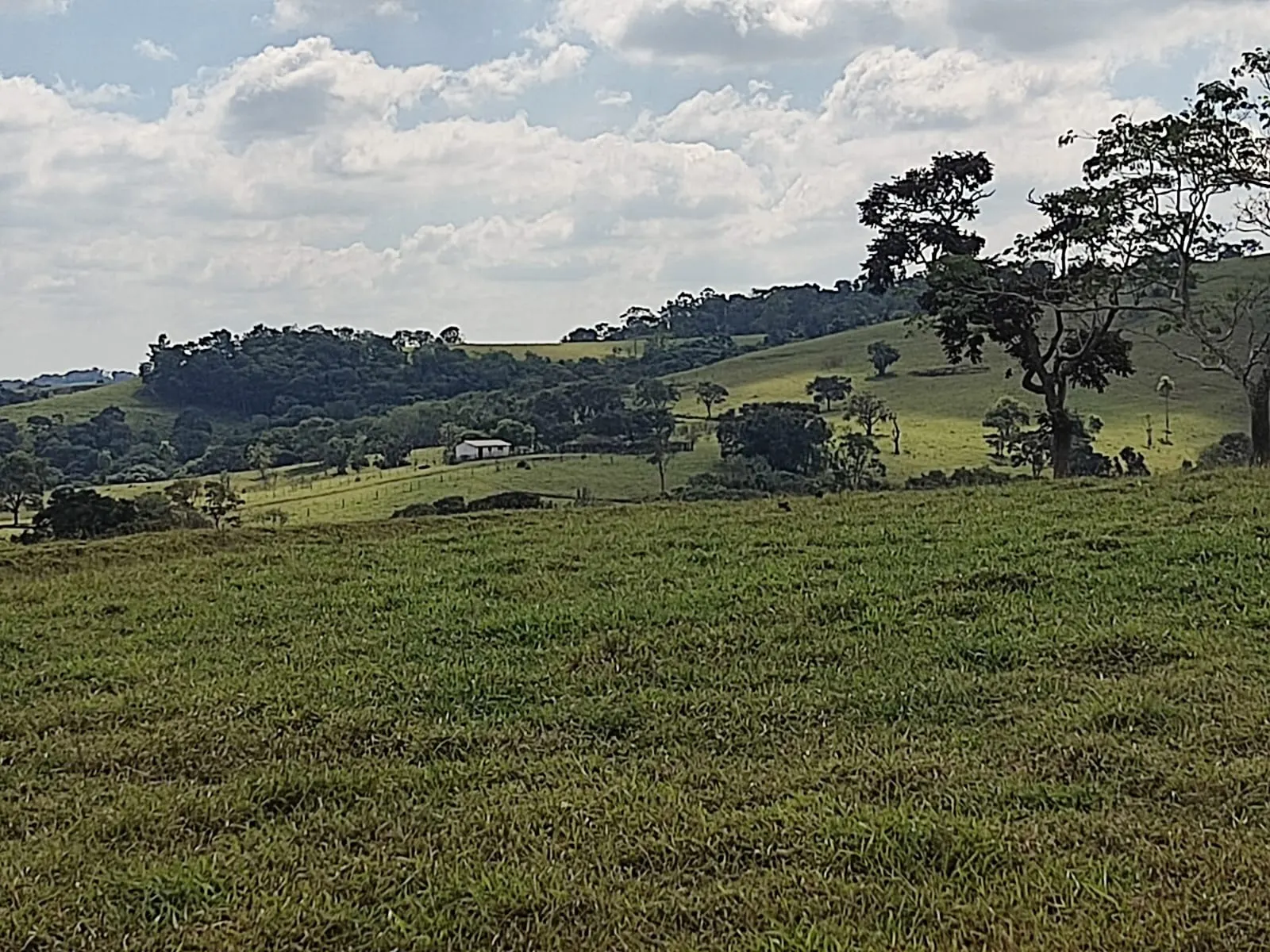 Fazenda à venda de 102 ha em Angatuba, SP, Brasil