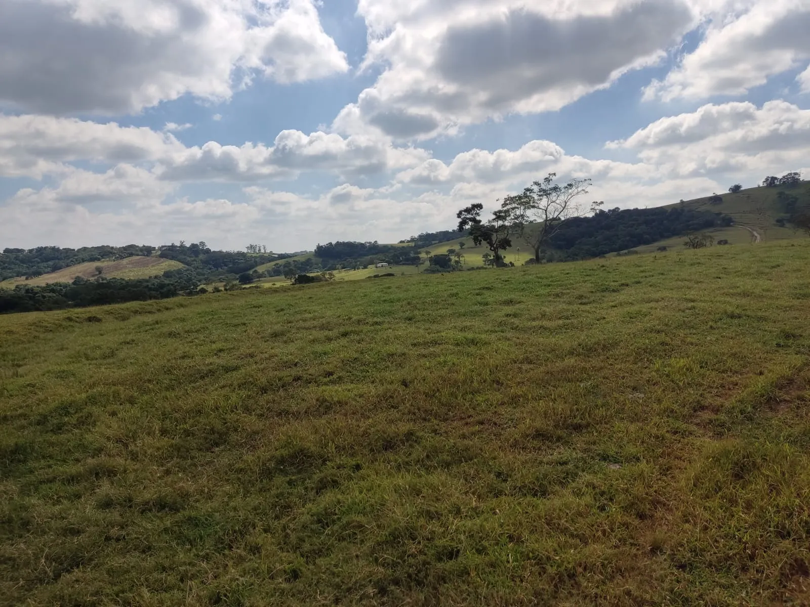 Fazenda à venda de 102 ha em Angatuba, SP, Brasil
