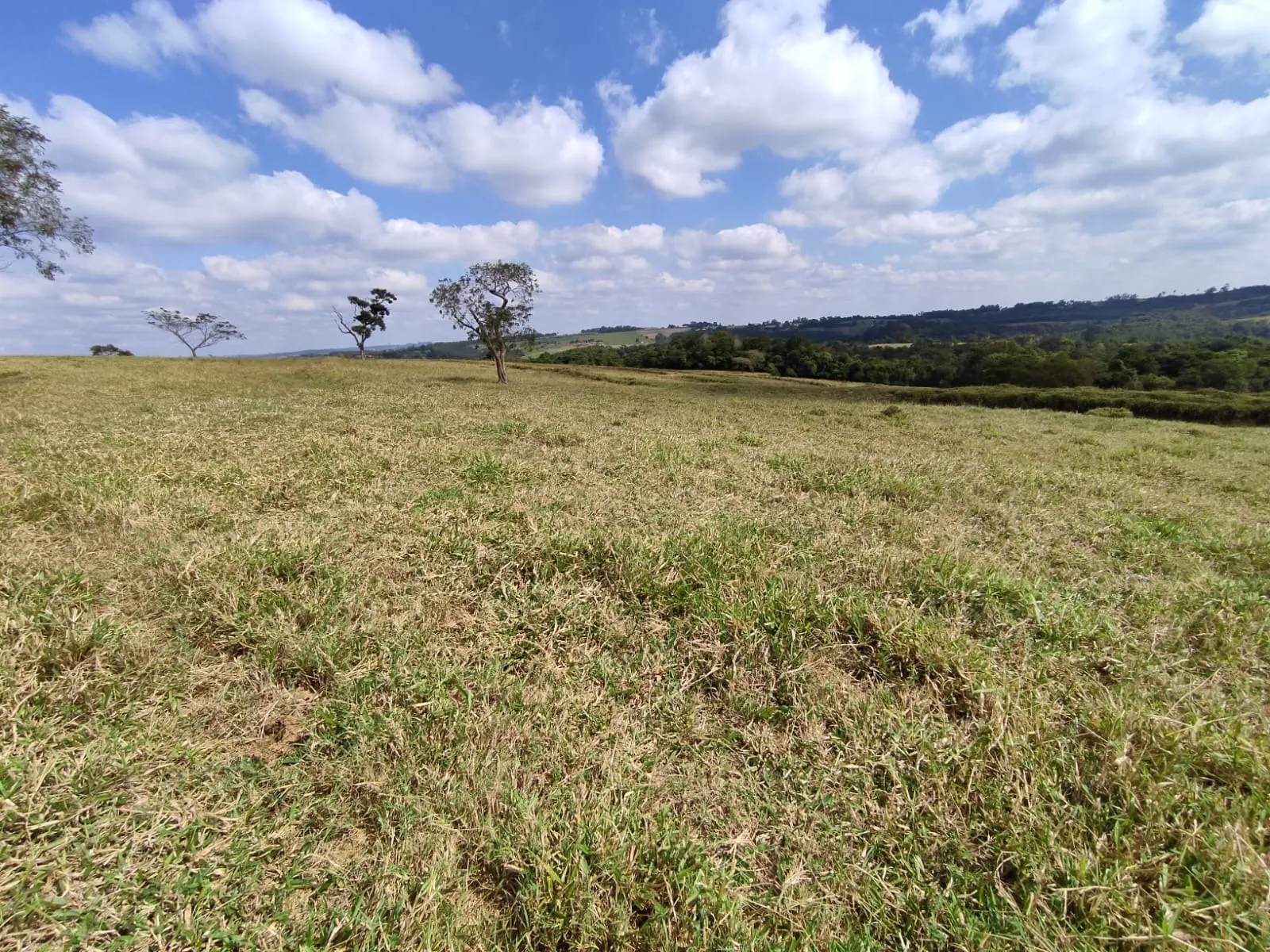 Fazenda à venda de 102 ha em Angatuba, SP, Brasil