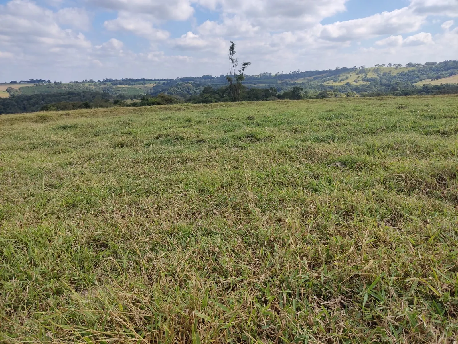 Fazenda à venda de 102 ha em Angatuba, SP, Brasil