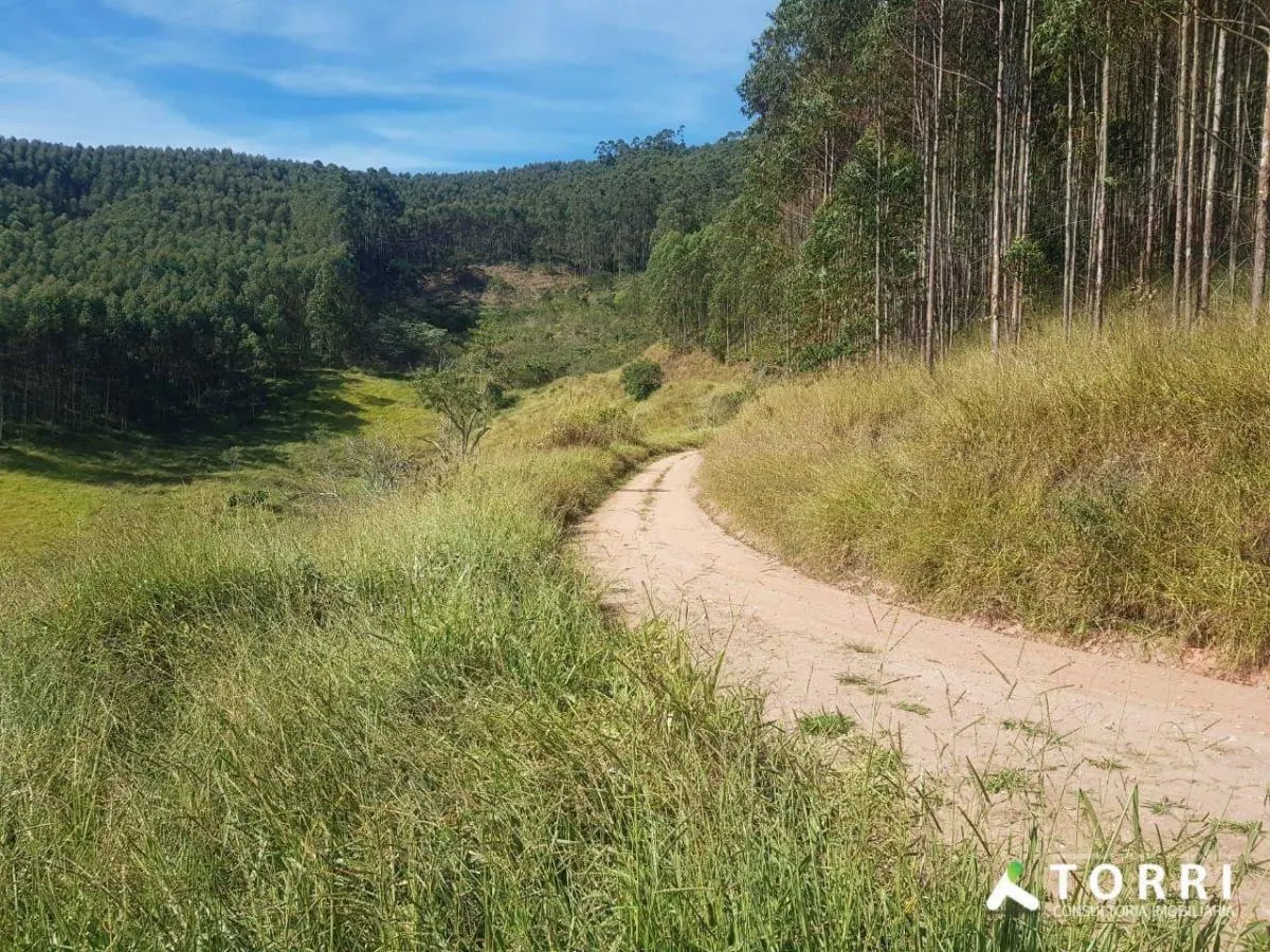Fazenda à venda de 760 ha em Paraibuna, SP, Brasil