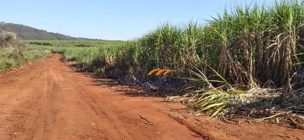 Fazenda à venda de 167 ha em São Carlos, SP, Brasil