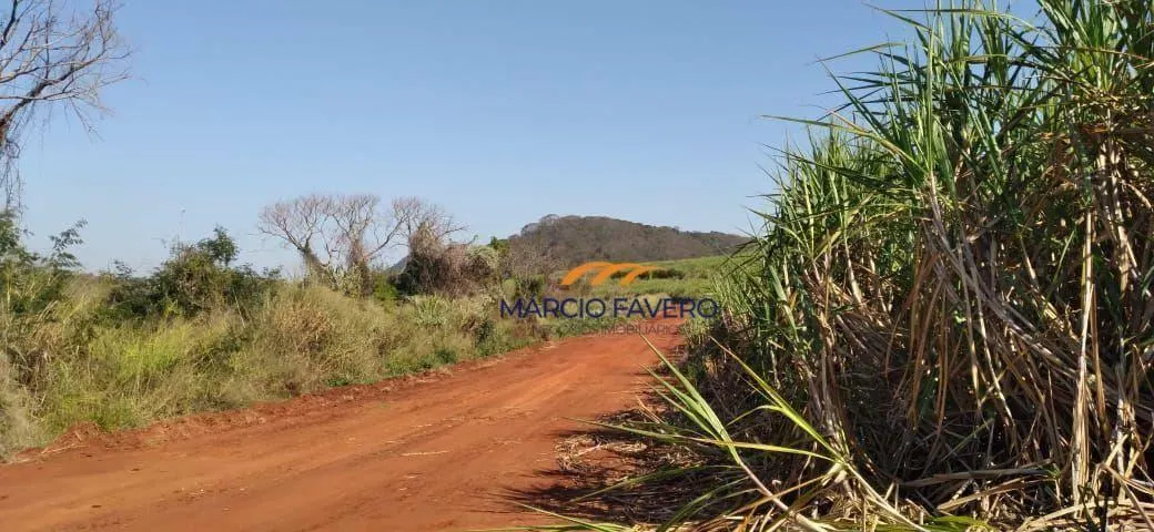 Fazenda à venda de 167 ha em São Carlos, SP, Brasil