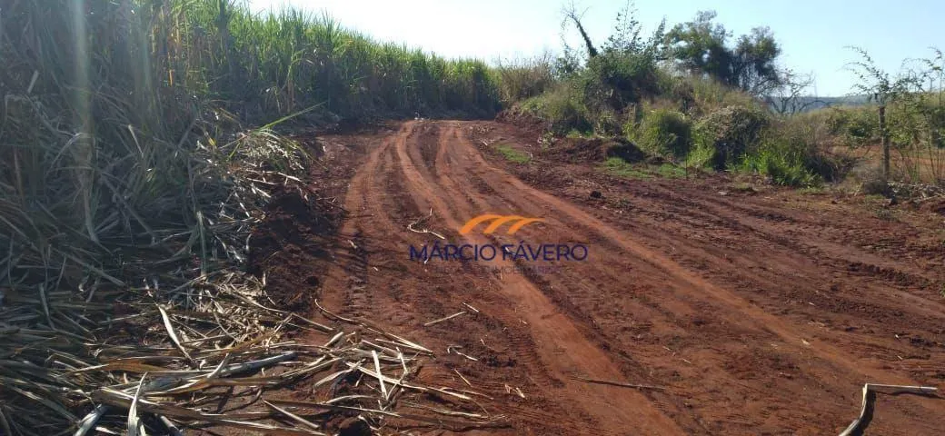 Fazenda à venda de 167 ha em São Carlos, SP, Brasil