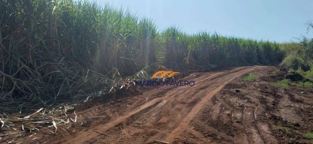 Fazenda à venda de 167 ha em São Carlos, SP, Brasil