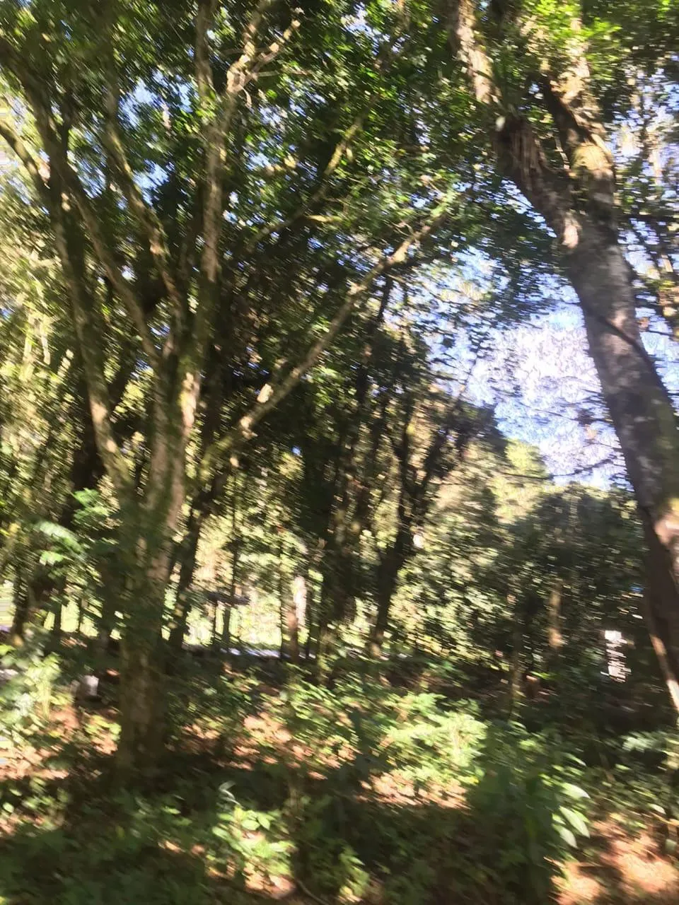 Country home for sale of 7 acres in Tijucas do Sul, PR, Brazil