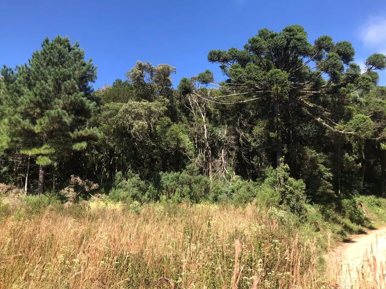 Country home for sale of 7 acres in Tijucas do Sul, PR, Brazil
