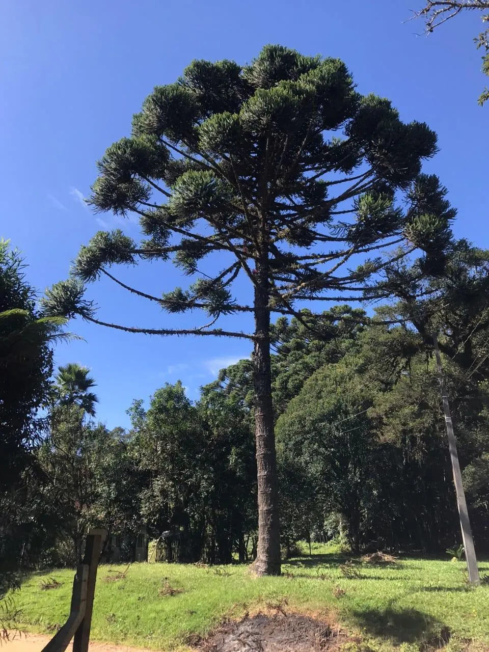Country home for sale of 7 acres in Tijucas do Sul, PR, Brazil