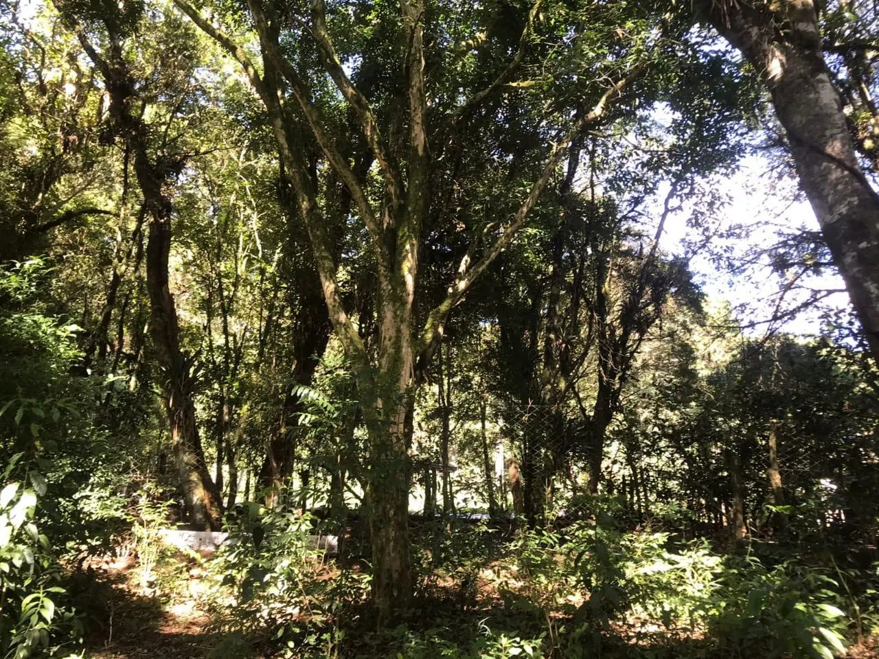Country home for sale of 7 acres in Tijucas do Sul, PR, Brazil