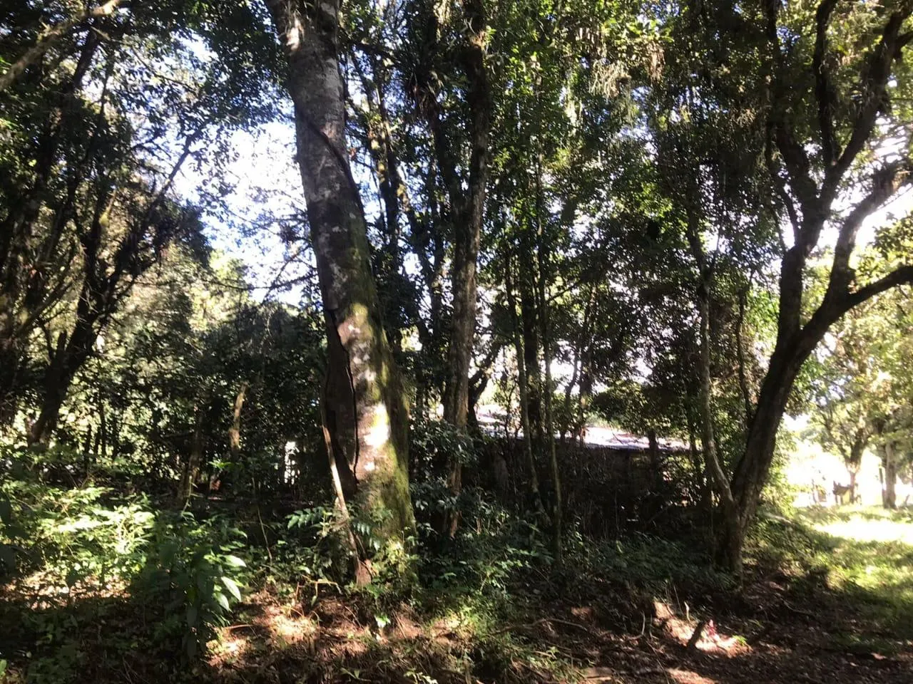 Country home for sale of 7 acres in Tijucas do Sul, PR, Brazil