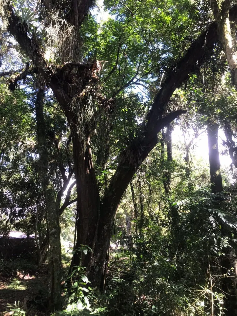 Country home for sale of 7 acres in Tijucas do Sul, PR, Brazil